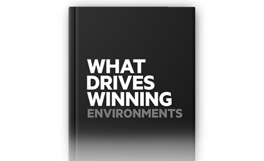 What Drives Winning Teams Book
